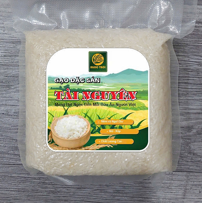 00504 - Tài Nguyên