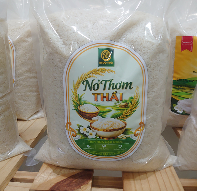 05008 - Nở Thơm Thái