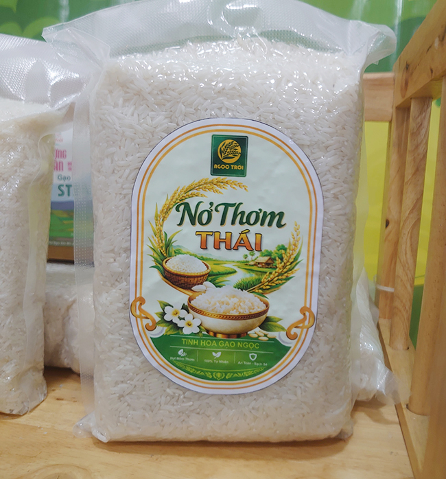 01008 - Nở Thơm Thái